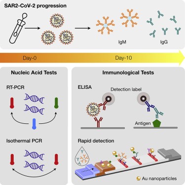 Infectious Disease Diagnostics Elisa Test Creative Diagnostics