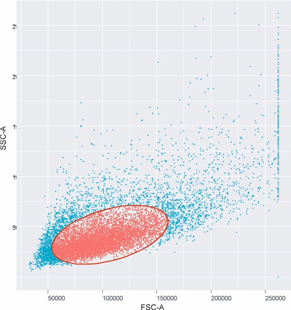 Cell Experiment Protocol Creative Diagnostics