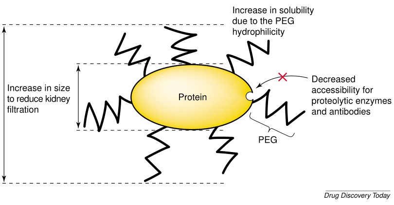 PEGylated Proteins Creative Diagnostics