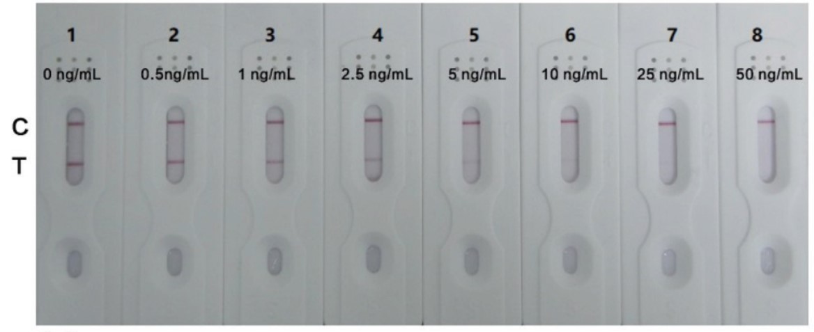 Chlorpheniramine Antibodies & Antigens - Creative Diagnostics