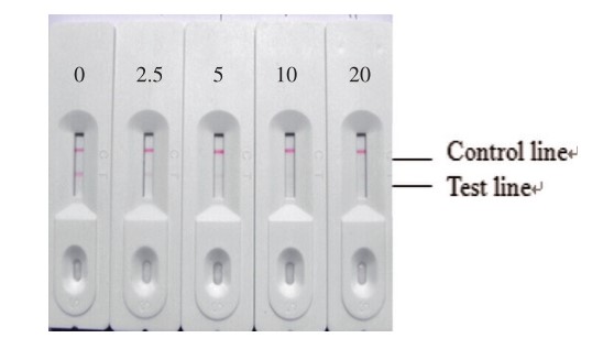 Lincomycin Screen Test - Creative Diagnostics