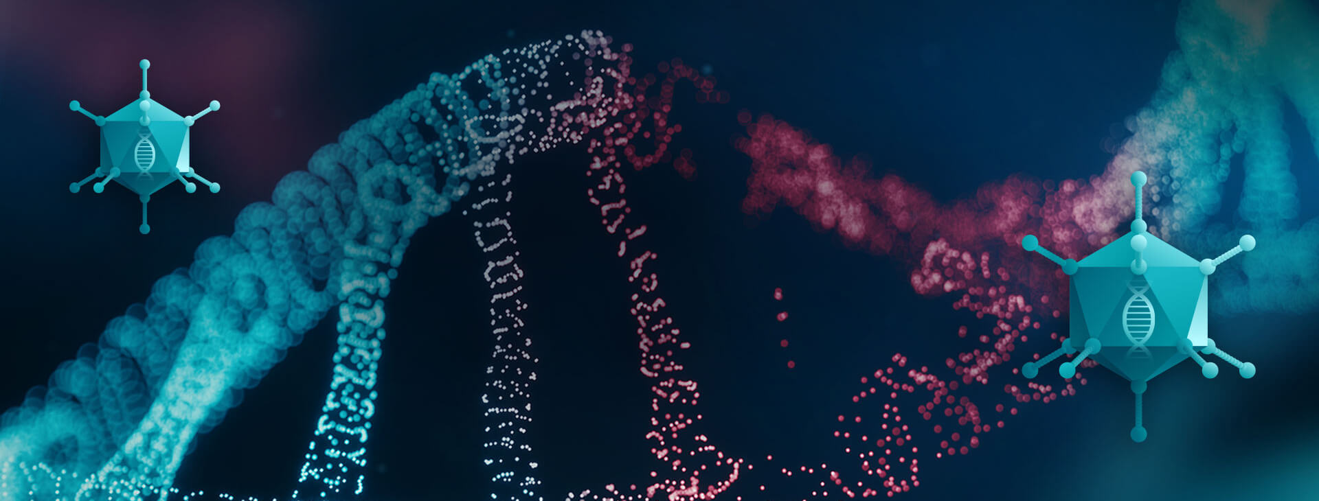 AAV for Gene Therapy - anti-AAV antibodies detection in AAV gene therapy