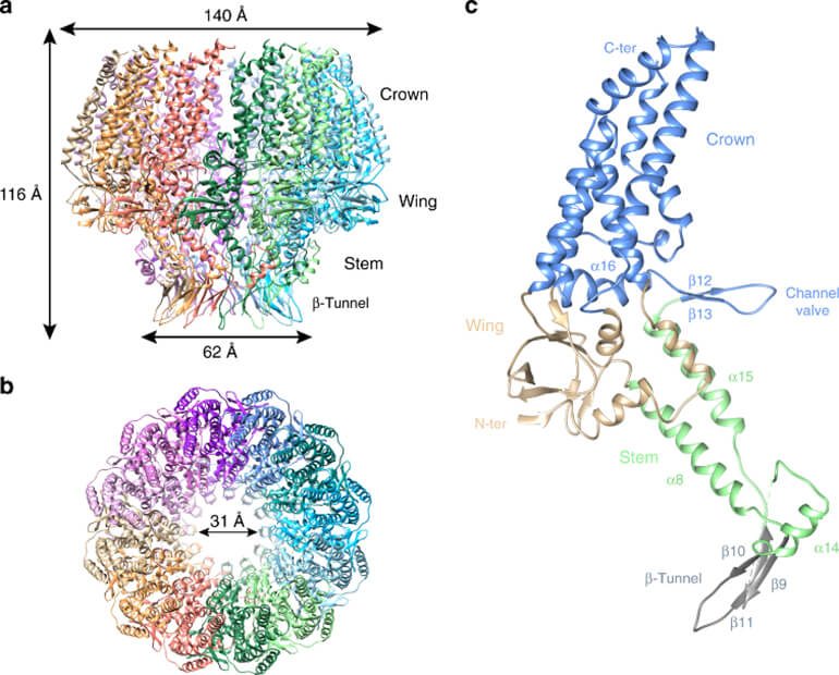 human-anti-ebv-ea-d-iga-elisa-kit-1.jpg