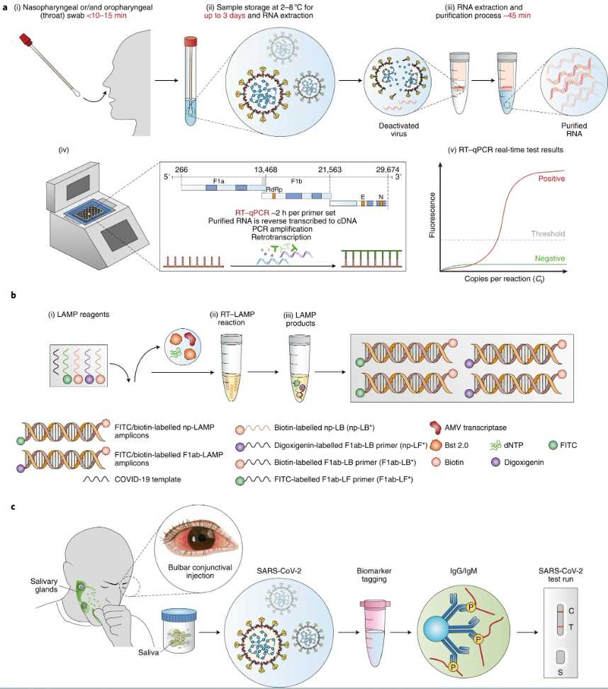 SARS-CoV-2 Antigen ELISA Kit (DEIA2020) - Creative Diagnostics