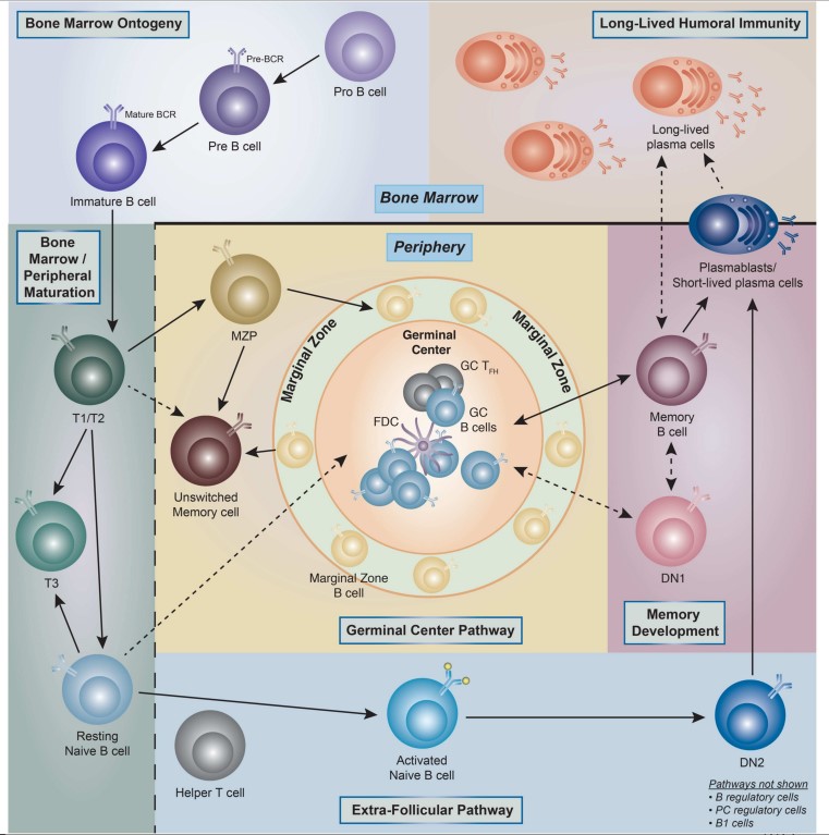 Research Review - Creative Diagnostics