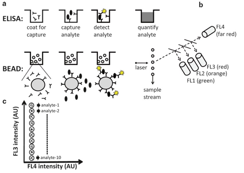 Bead-Based Multiplexed Analysis Of Analytes By Flow Cytometry Protocol ...