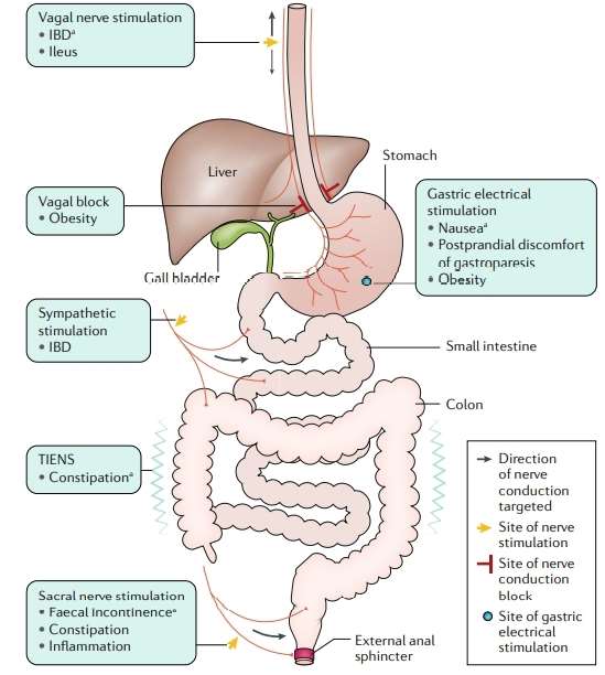 Research Review - Creative Diagnostics