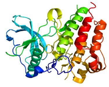 Cytokine Receptors - Creative Diagnostics