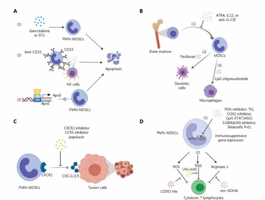 Granulocyte Products - Creative Diagnostics