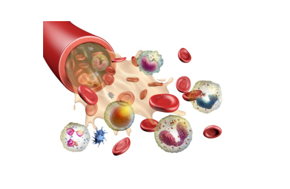 Hematologic Cancer - Creative Diagnostics