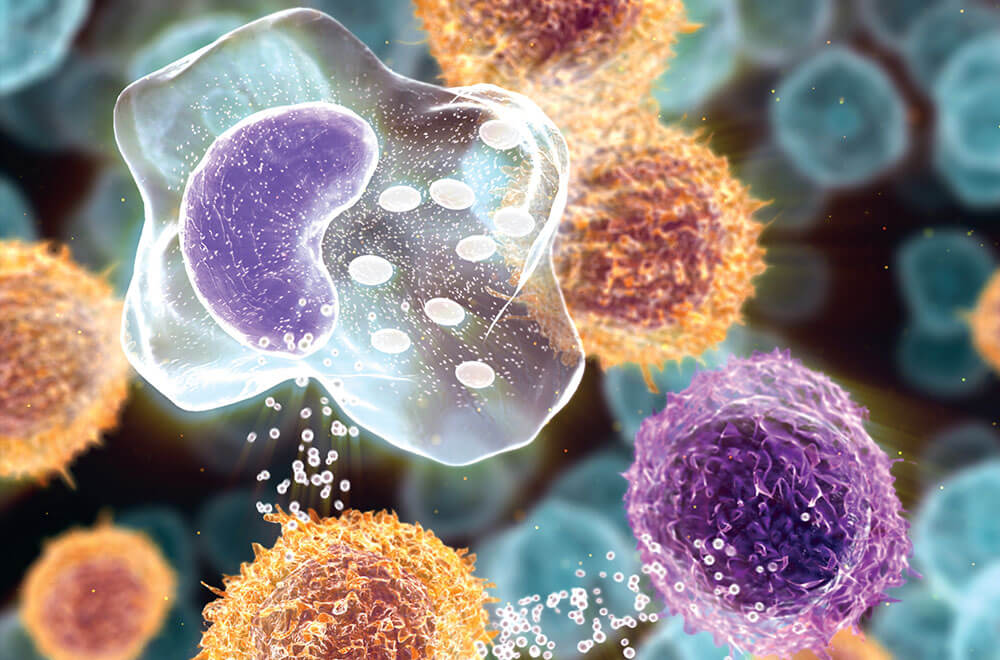 Immunocytes Crosstalk Signaling Pathway