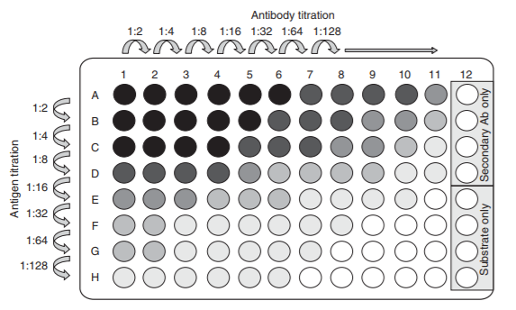 Indirect Elisa Protocol Creative Diagnostics