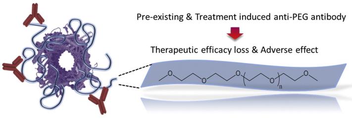 The existence of anti-PEG Abs has been correlated with loss of therapeutic efficacy and increase in adverse effects5.