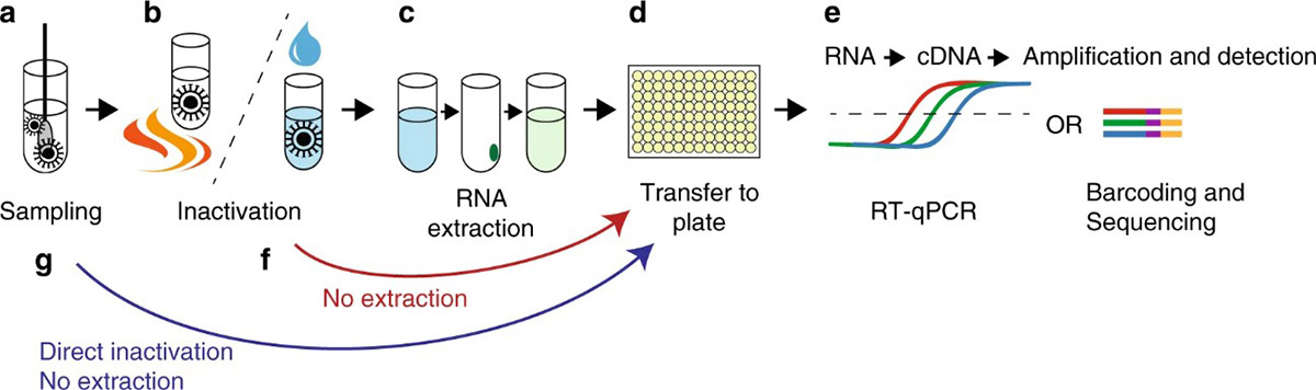 SARS-CoV-2 - Creative Diagnostics