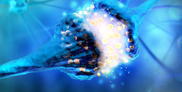 Neuroscience Signaling Pathway Creative Diagnostics