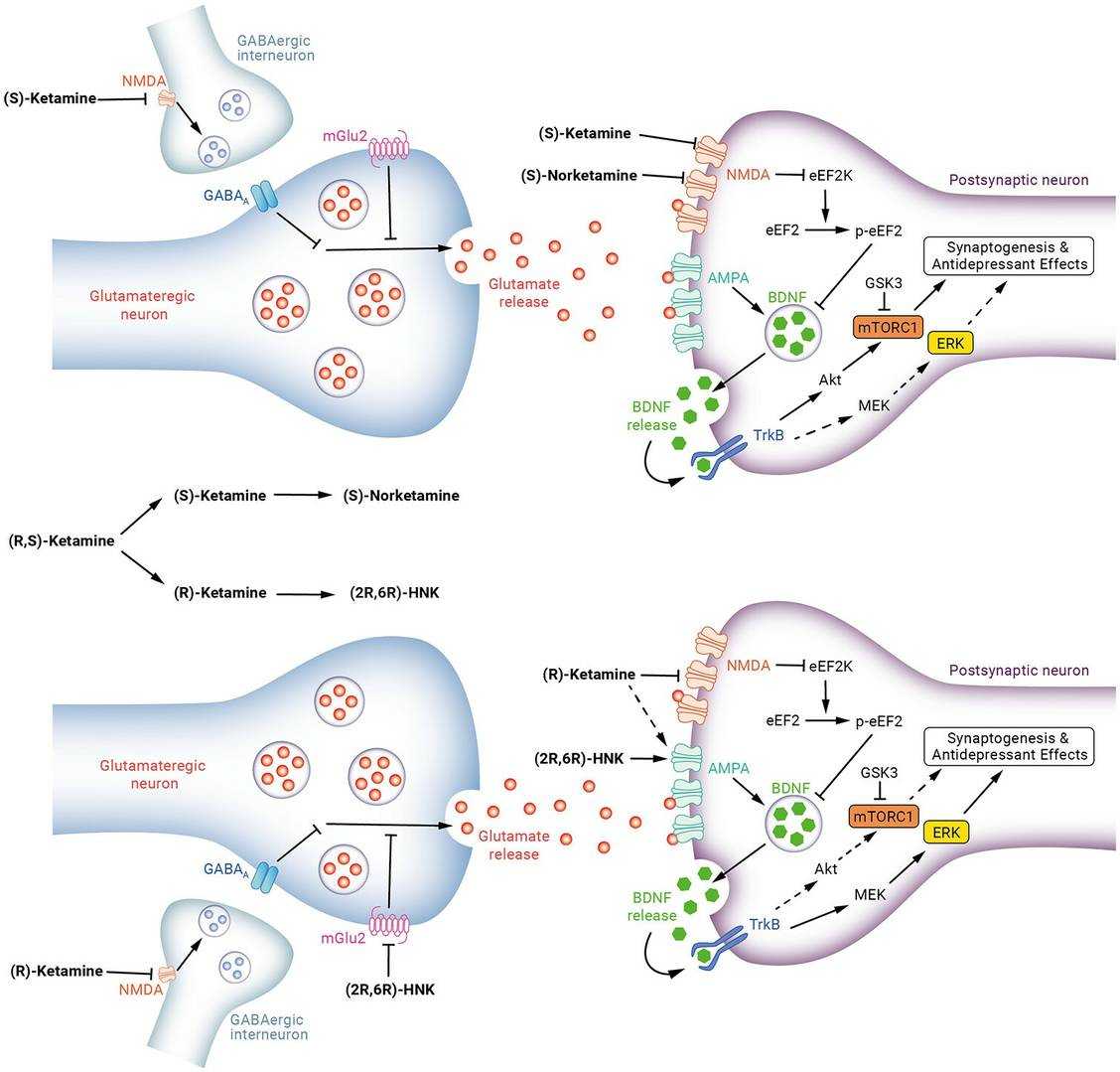 An Overview of Ketamine - Creative Diagnostics