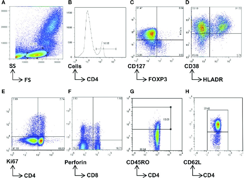 Flow Cytometry Data Analysis - Creative Diagnostics