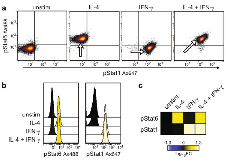 Phospho-Flow Cytometry Protocol For Analysis Of Kinase Signaling In ...