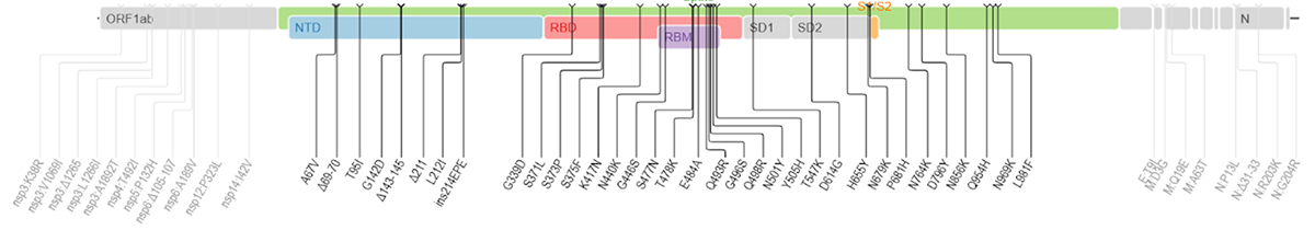 Stanford University Coronavirus Database