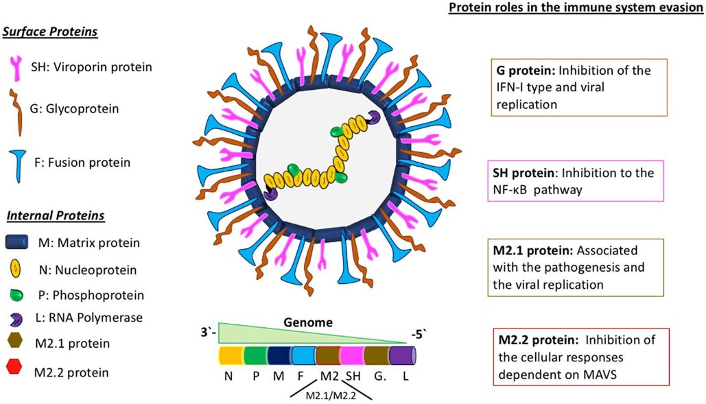 Research Review - Creative Diagnostics